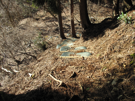 20160218hike (573)